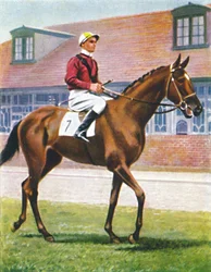 Senor, Jockey: J. Crouch, 1939
