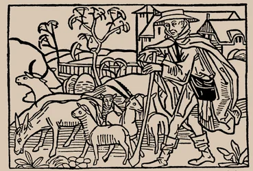 Pastore. Da Speculum Vitae Humanae di Rodericus Zamorensis