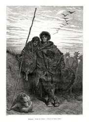 Pastore di Alava, Spagna, 1886