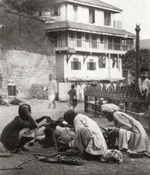 Ferriatura di un bue, India