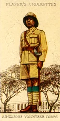Corpo Volontario di Singapore, 1936