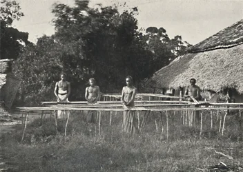Lavoratori di cannella singalesi al lavoro, 1926