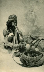 Incantatore di serpenti