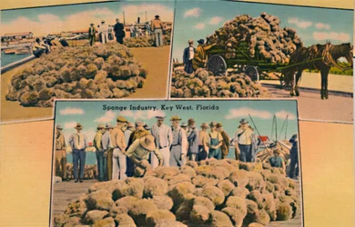 Industria delle spugne, Key West, Florida, c. 1940