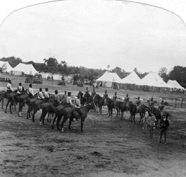 Giornata sportiva a Narsampet, India, 1905