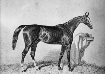 St. Albans, XIX secolo, 1911