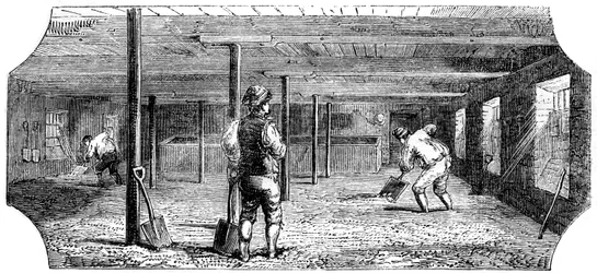Ammollo, accoppiamento e pavimentazione del malto, 1886