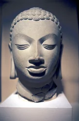 Testa di pietra di Buddha, Gupta, India, V secolo