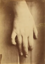 Studio di una Mano