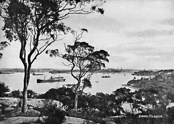 Porto di Sydney, da Cremorne Point, c1900
