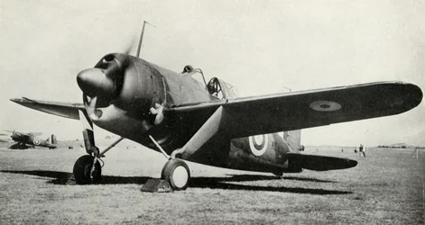 Il Brewster Buffalo, 1941