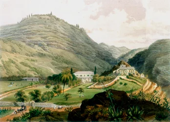 The Briars, Sant