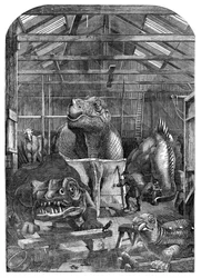 La sala dei modelli degli animali estinti al Crystal Palace, Sydenham, 1853