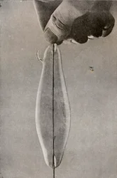 La prima lampada elettrica a incandescenza, c. 1916