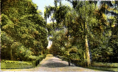 Il Viale dei Fiori, Kensington Gardens, Londra, XX secolo