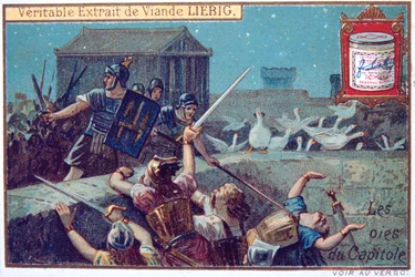 Le oche della capitale, cartolina commerciale continentale Liebig, c1900