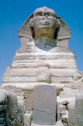 La Grande Sfinge di Giza, Piana di Giza, Egitto