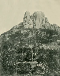 Il Gobbo, Montagne di Buffalo, 1901