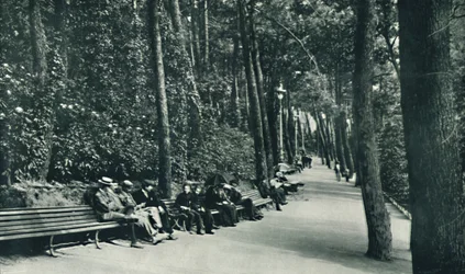 La passeggiata degli invalidi, c1910