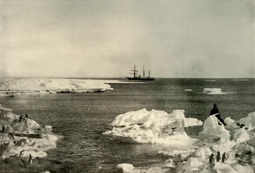 Il Nimrod al largo della colonia di pinguini