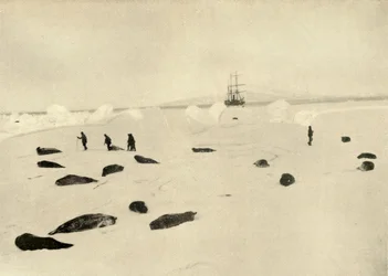 Il Nimrod a Pram Point il 4 marzo 1909