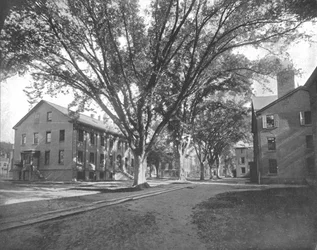 La sala di lettura e il tesoro, Yale College, New Haven, Connecticut, USA, c. 1900