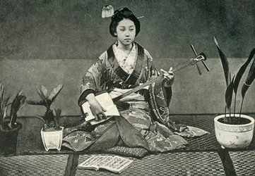 Il Samisen, 1891