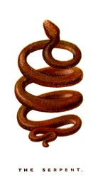 Il serpente, 1923