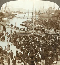 Il porto, N.W. dal mercato di Bergen, il più grande mercato del pesce della Norvegia, c1905
