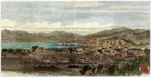 La città e il porto di Wellington, capitale della Nuova Zelanda, c1880