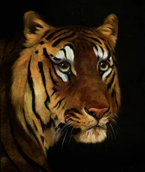 Studio di tigre, 1908-1909