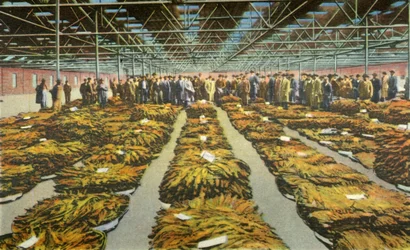 Vendita di tabacco, una scena sempre interessante