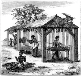 Preparazione del tabacco