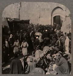 Traffico presso la Porta di Santo Stefano, Gerusalemme, c1900