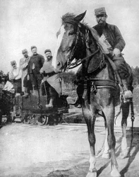 Trasporto nella Foresta di Argonne, Francia, 1915