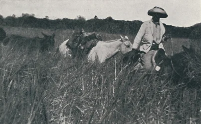 Viaggio nelle Pampas, 1916