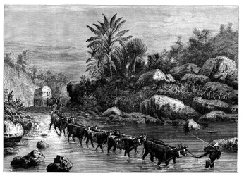 Viaggiare nel Griqualand, Sudafrica, c1890