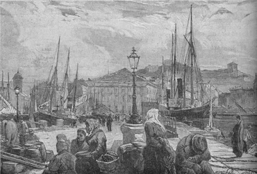 Porto di Trieste, 1902