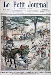 Truppe che cercano di contenere un incendio forestale, Algeria, 1904