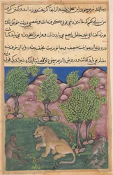 Tuti-Nama Racconti di un pappagallo: Racconto XXVIII: La scimmia consiglia il leone sospettoso..., c. 1560