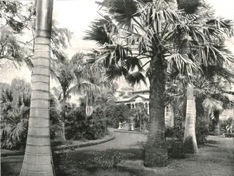 Tipico cortile hawaiano, Honolulu, USA, 1895