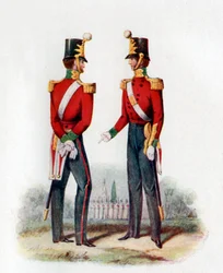 Uniforme del 19° Reggimento
