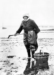 Regno Unito: Una vecchia signora che raccoglie telline sulla riva del mare. c1890