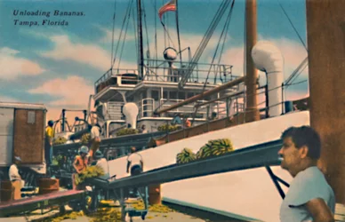 Scarico delle banane, Tampa, Florida, c1940