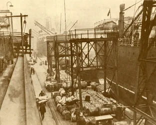 Scarico delle navi alimentari ai Royal Albert Docks, Londra, c1930