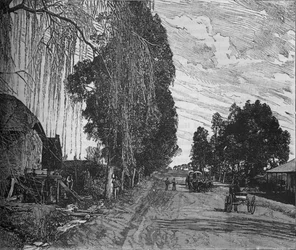 Veduta vicino a Pretoria, c1880