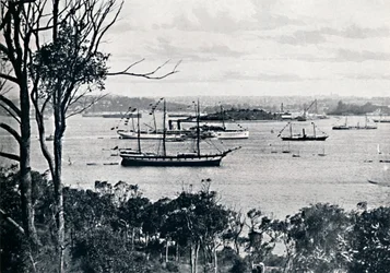 Vista del porto di Sydney dalla North Shore, No. 1