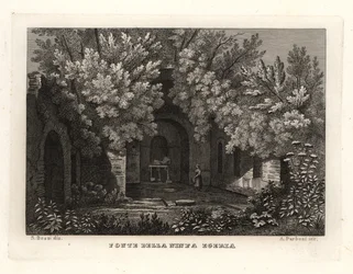 Veduta della Fonte della Ninfa Egeria, Parco Cafarella, Roma