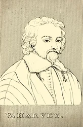 W. Harvey