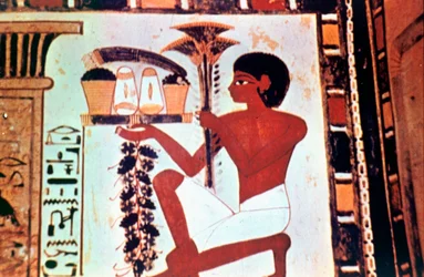 Pittura Murale, (dettaglio), Servo con Offerte, Cappella di Menna, Tebe